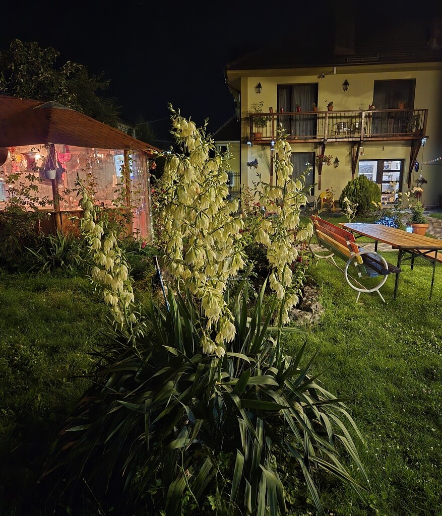 Pensiunea Guest House Karina