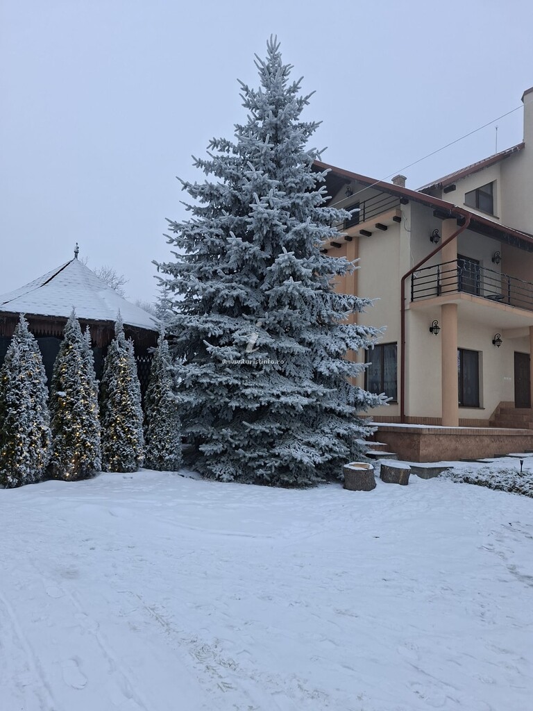 Vila Magic