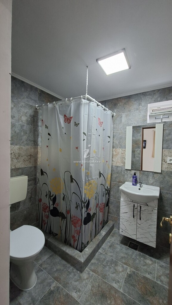 Vila Camelia