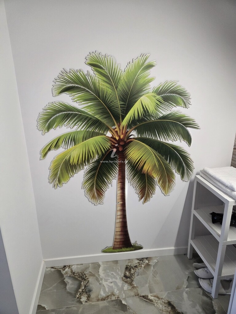 Camere de închiriat Anastasia