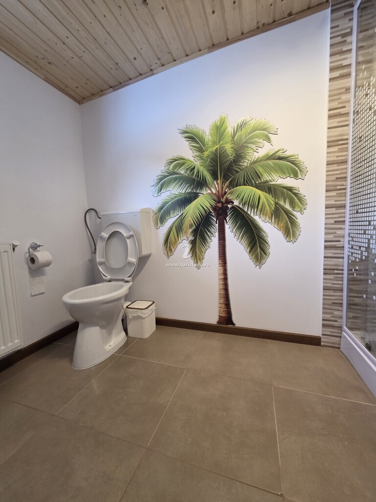 Camere de închiriat Anastasia