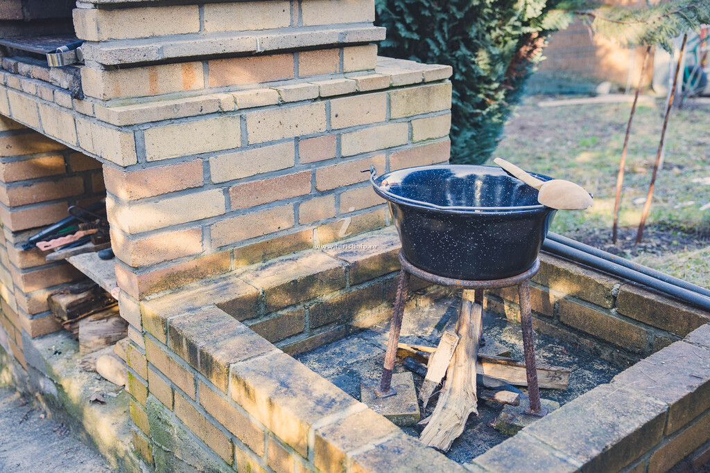Casa Primăverii