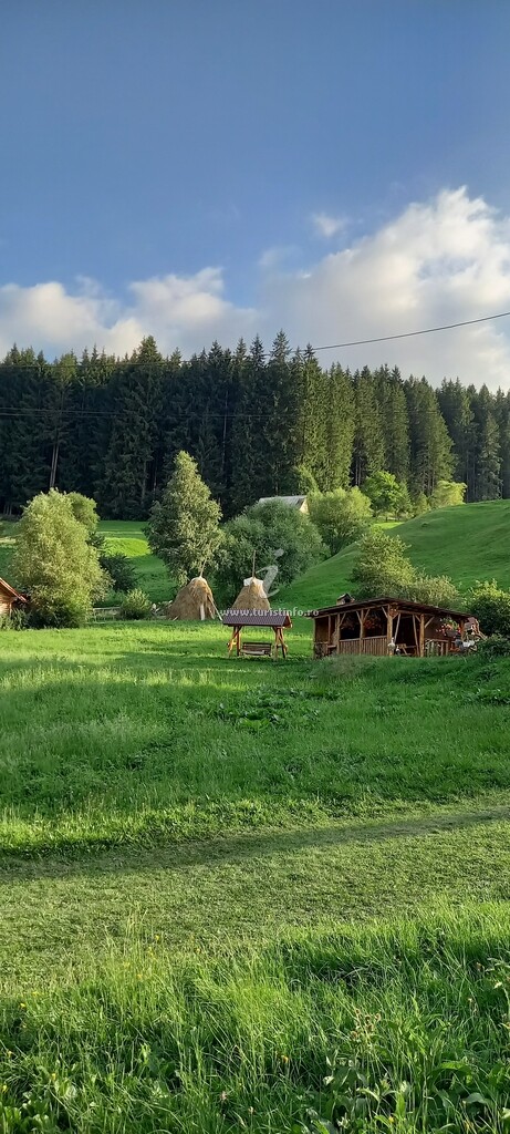 Casa de vacanță Vârf de Munte