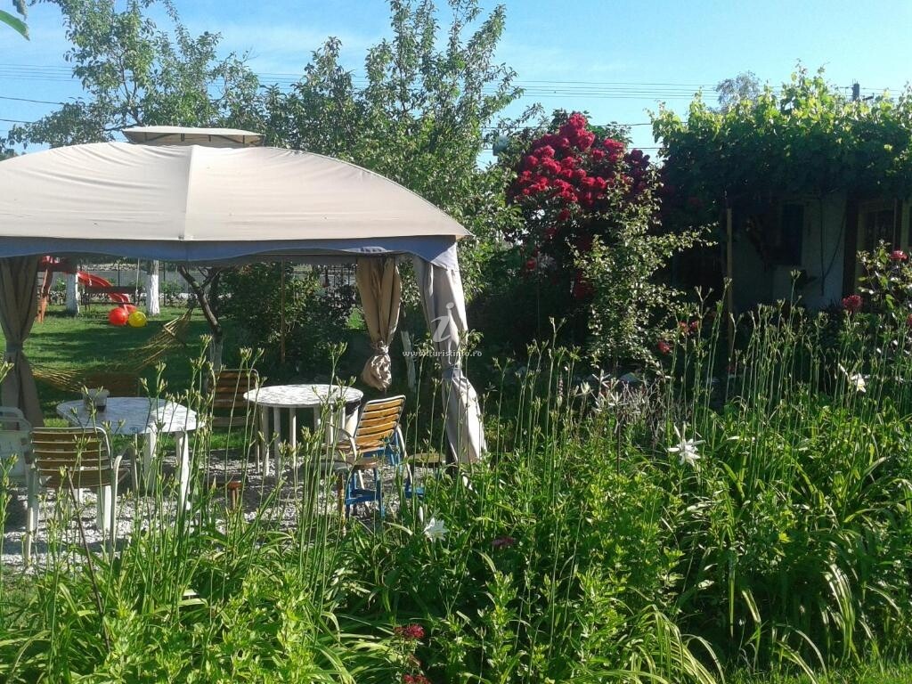 Camping Căsuța Mihaela