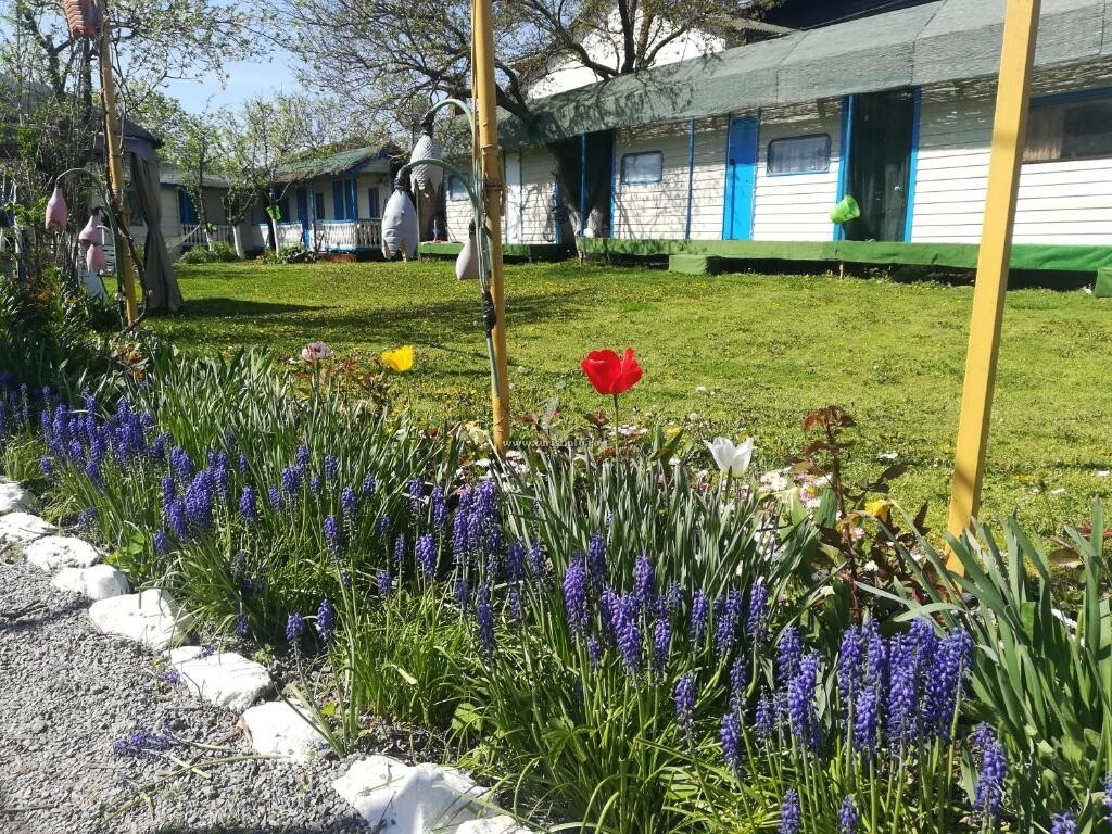 Camping Căsuța Mihaela