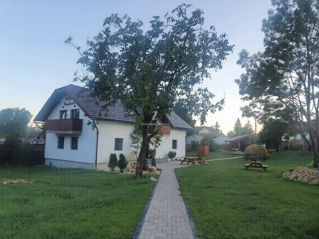 Camere de închiriat Transilvania