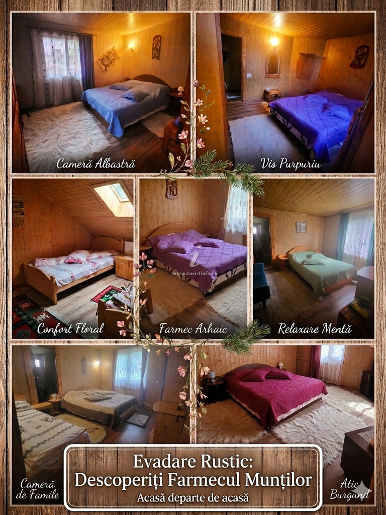 Cabana Valea Soarelui