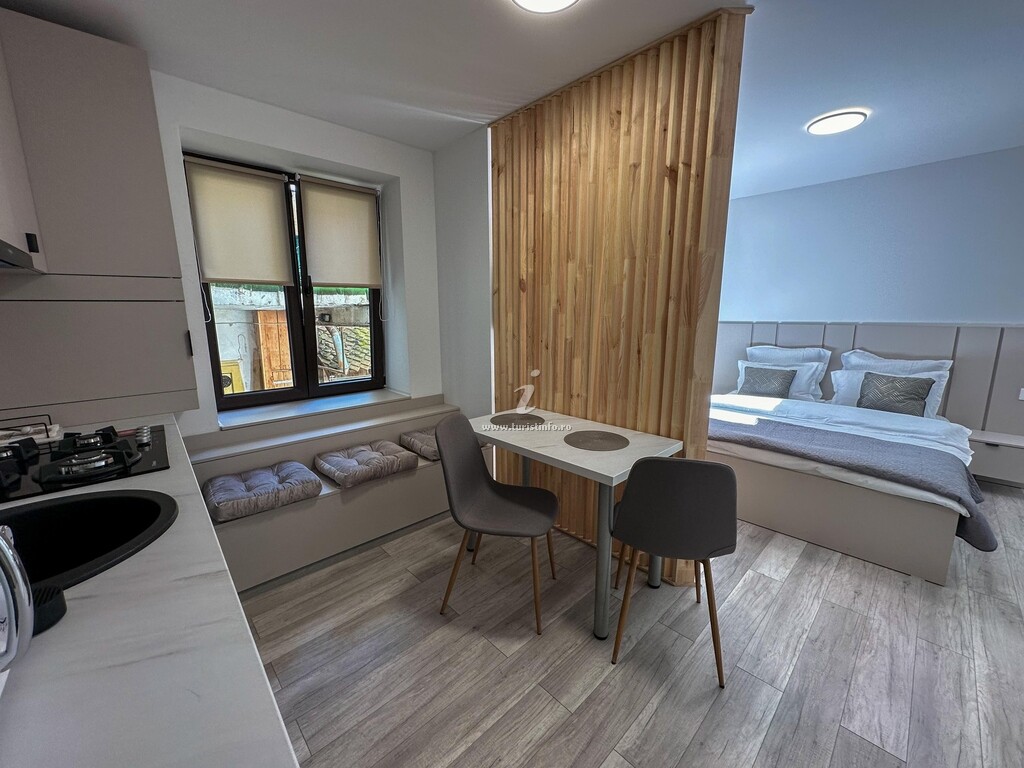 Apartament Ultracentral Studio