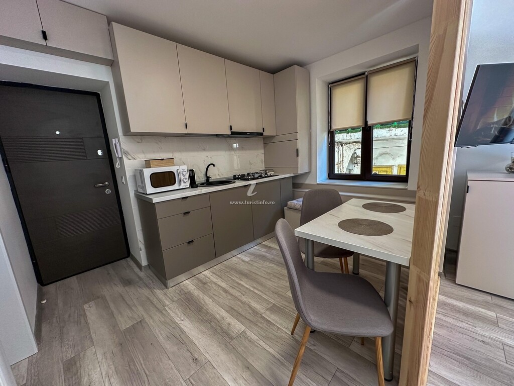 Apartament Ultracentral Studio