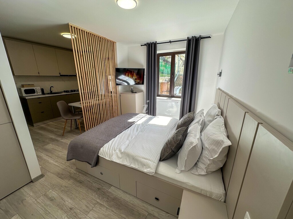 Apartament Ultracentral Studio