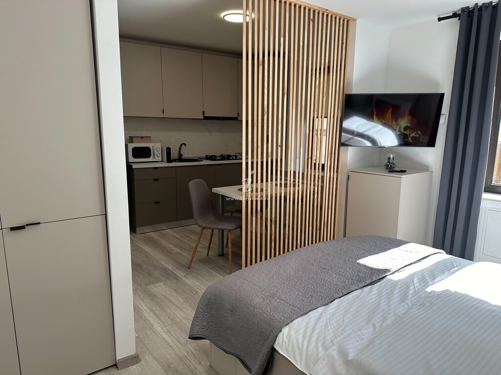 Apartament Ultracentral Studio