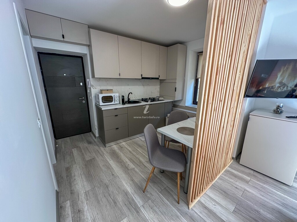 Apartament Ultracentral Studio