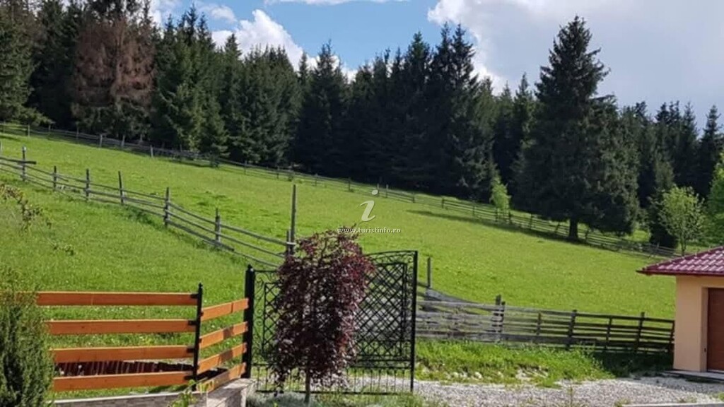 Casa Cuibușor în Bucovina