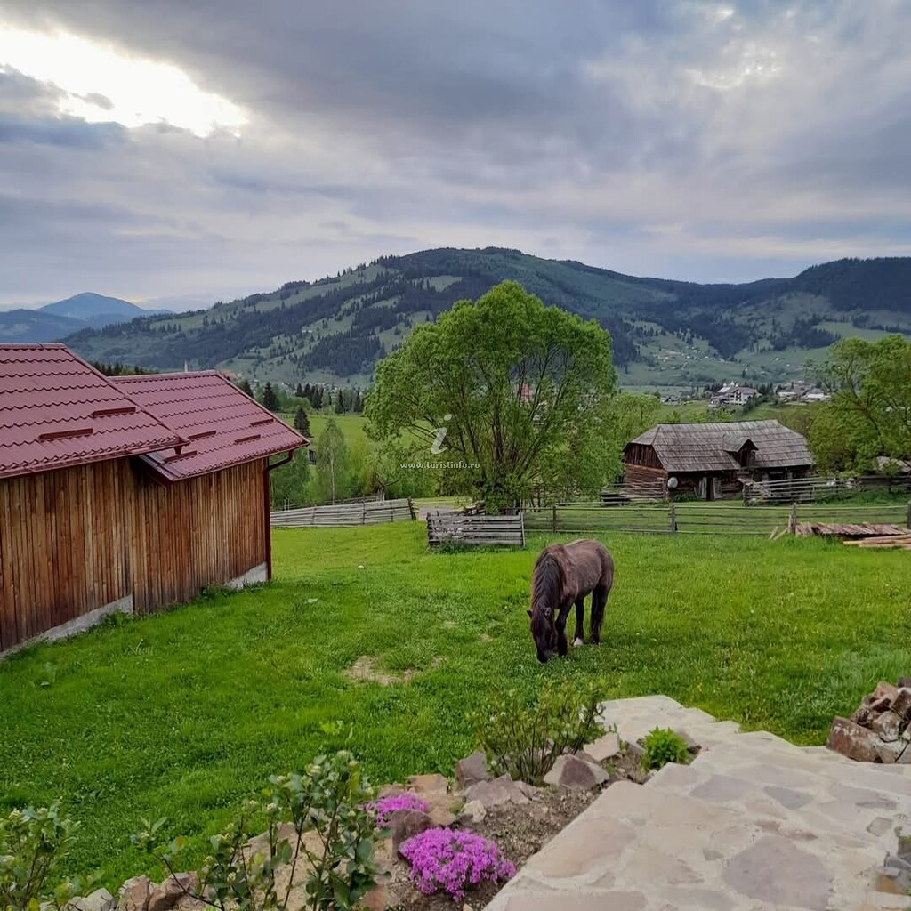 Casa Cuibușor în Bucovina