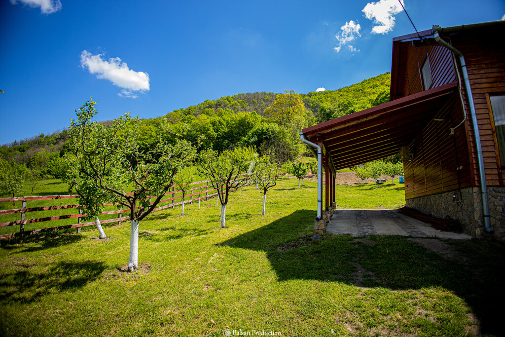 Casa de vacanță Hanes