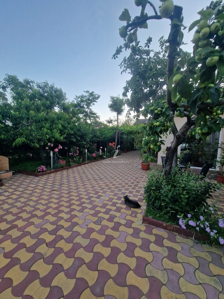 Casa Georgian