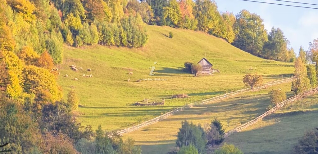 La Stăncă