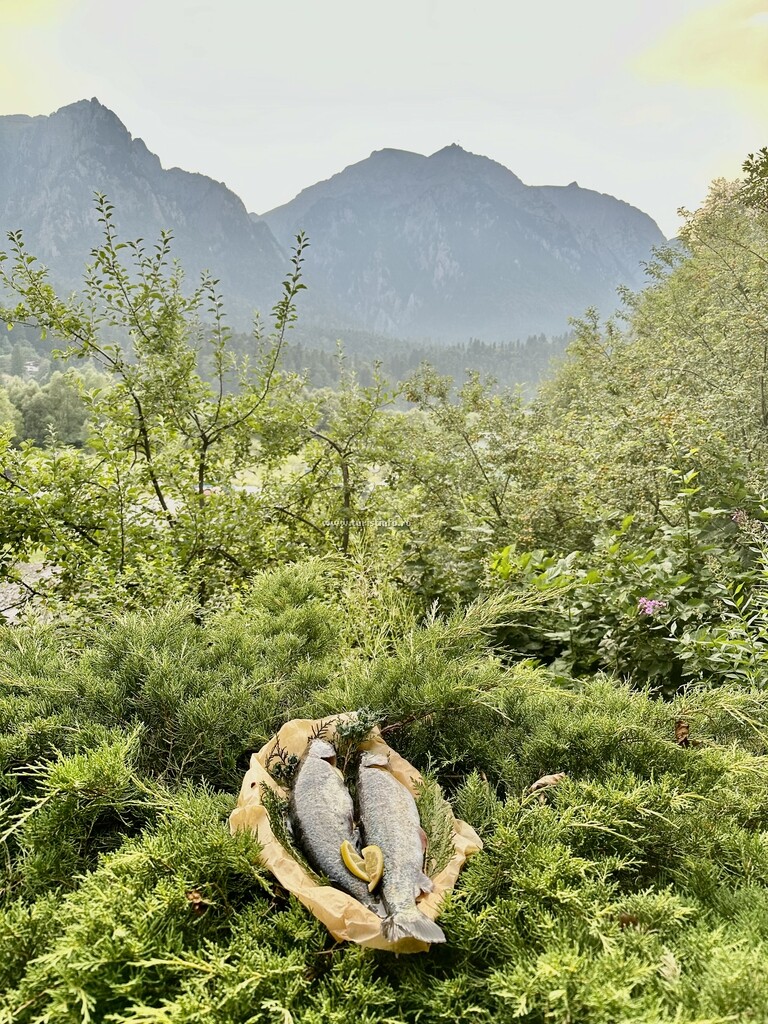 Casa de vacanță Mihaella