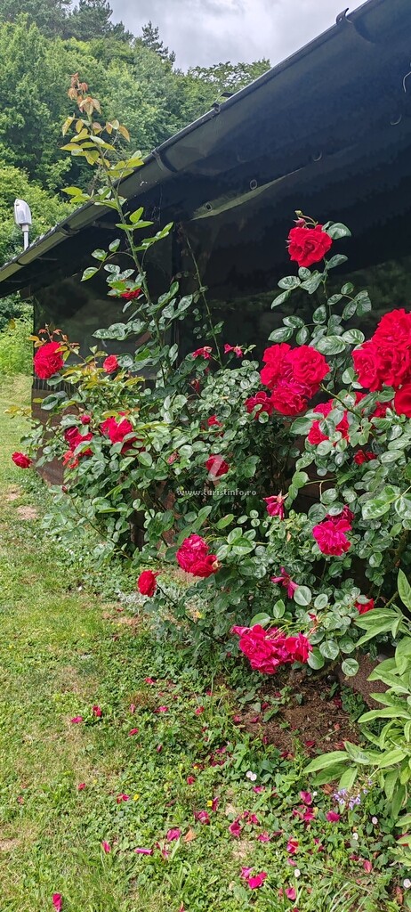 Casa de vacanță Seliana