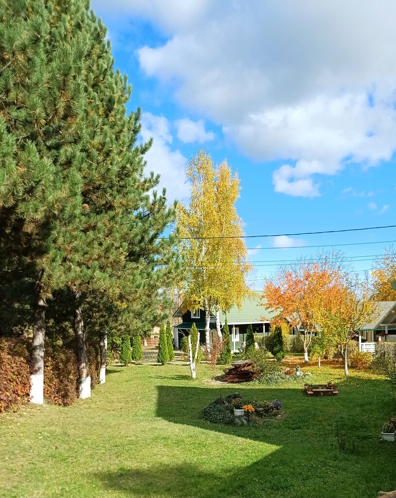 Pensiunea Complex Agroturistic Pădurea de Smarald