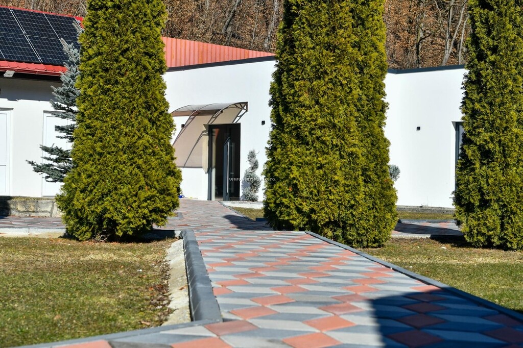 Pensiunea Casa Albert