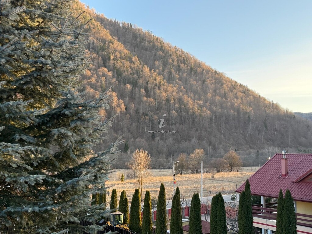 Pensiunea Casa Albert