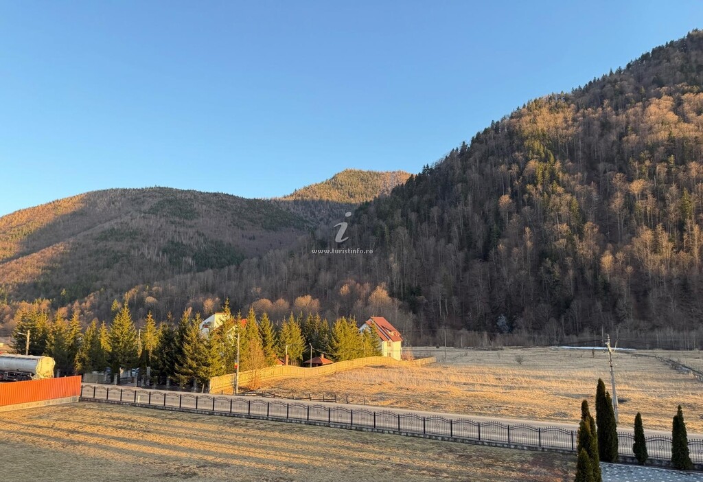 Pensiunea Casa Albert