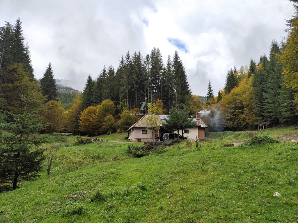 Cabana Pietricica