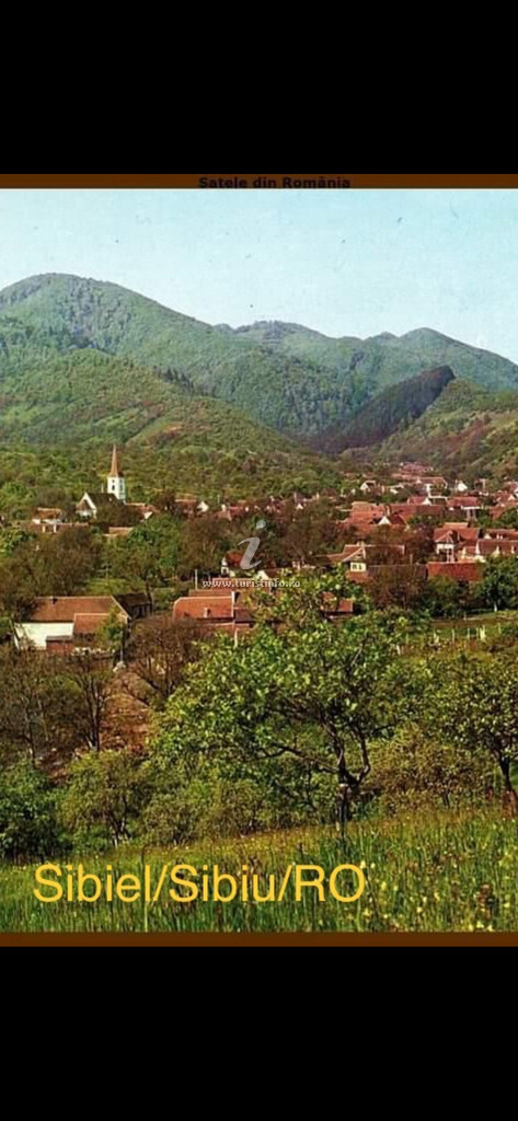 Pensiunea Carmen House