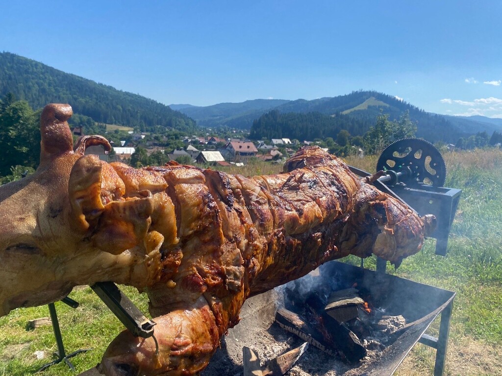 Pensiunea Ștefania
