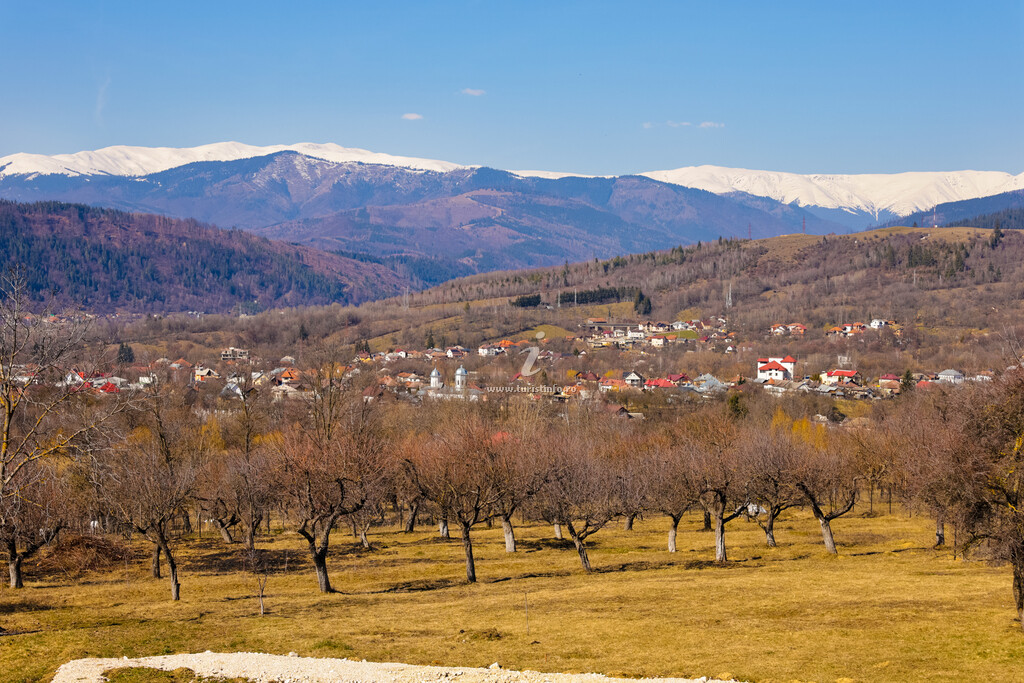 Livada din Muscel - Casa Iulia