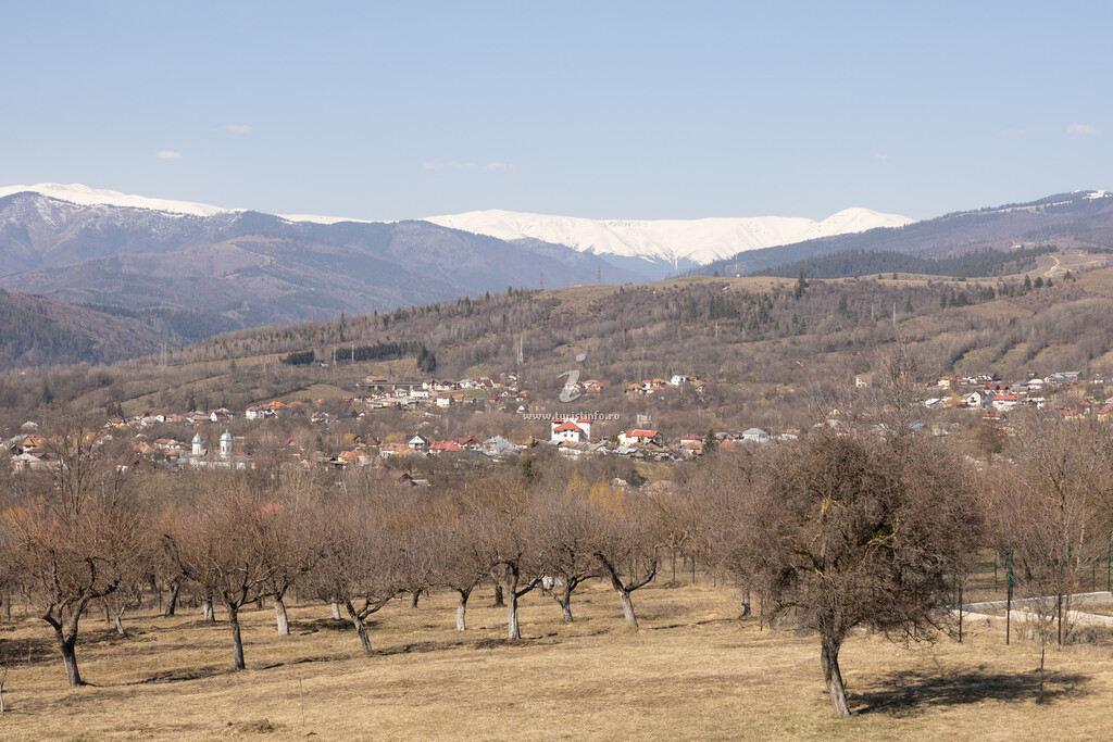 Livada din Muscel - Casa Iulia