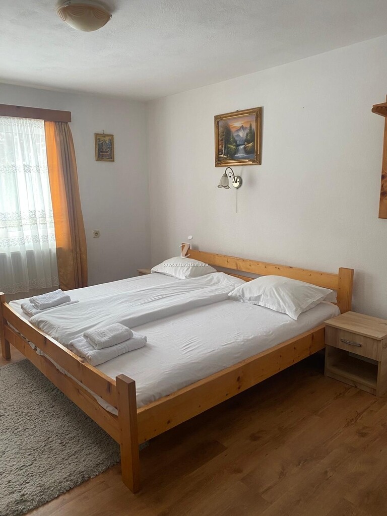 Pensiunea Puiu