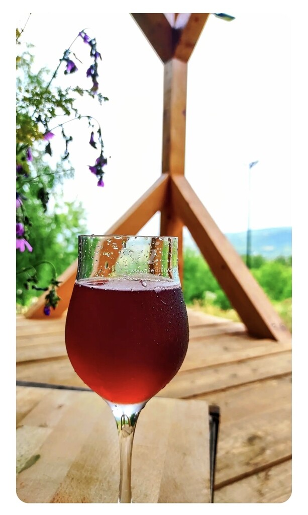 Cabana Skyhigh Retezat