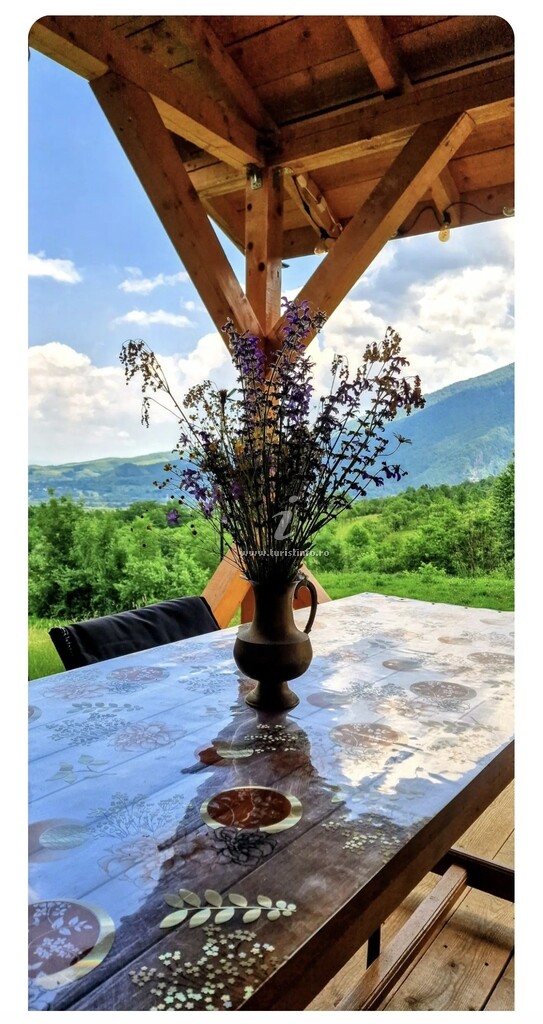 Cabana Skyhigh Retezat
