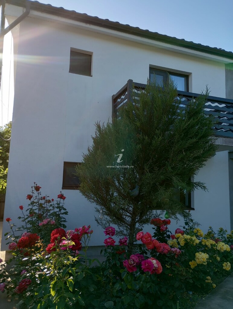 Camere de închiriat Antonia