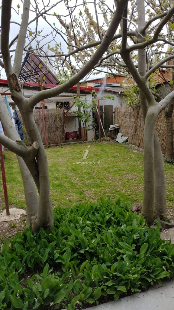 Casa Minu