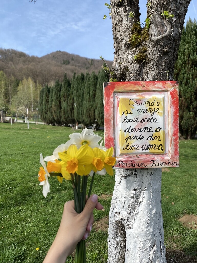 Pensiunea Florina