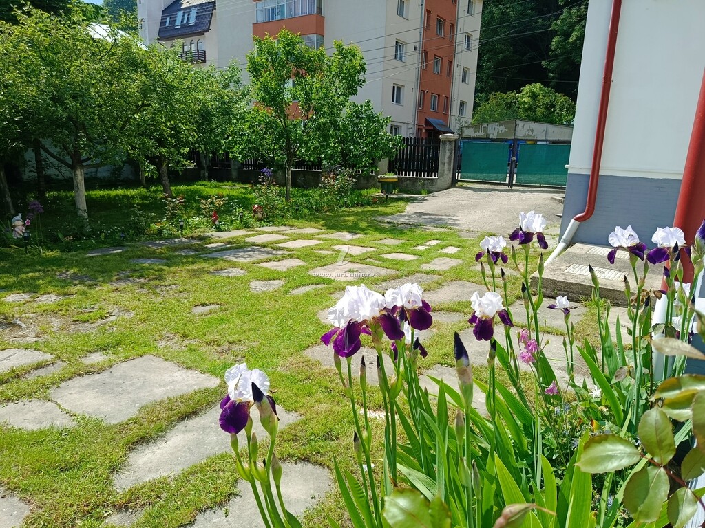 Casa de vacanță Little Bear