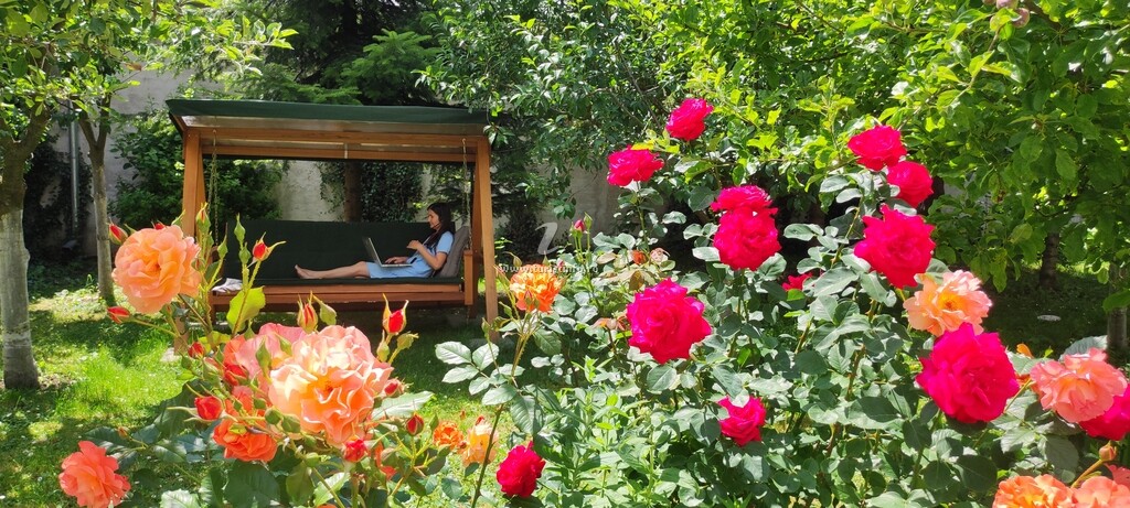 Casa de vacanță Little Bear