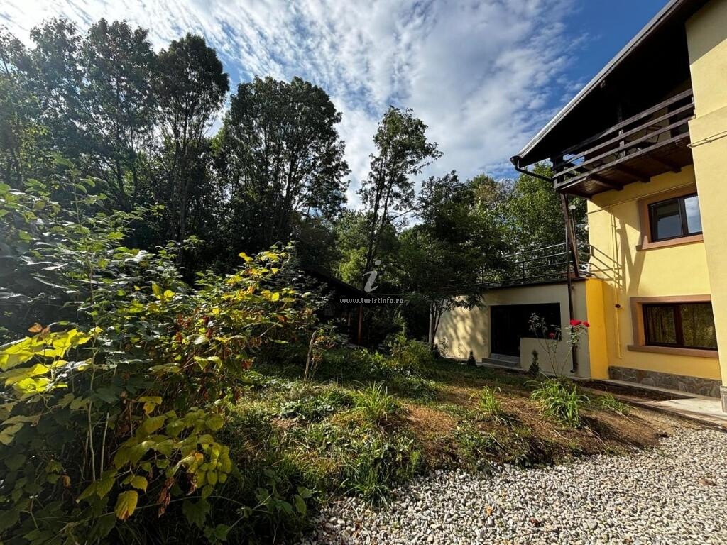 Casa cu Pădure