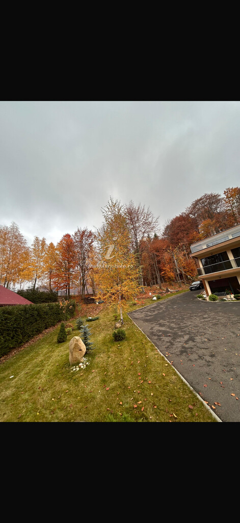 Cabana Lake Chalet Mogoșa