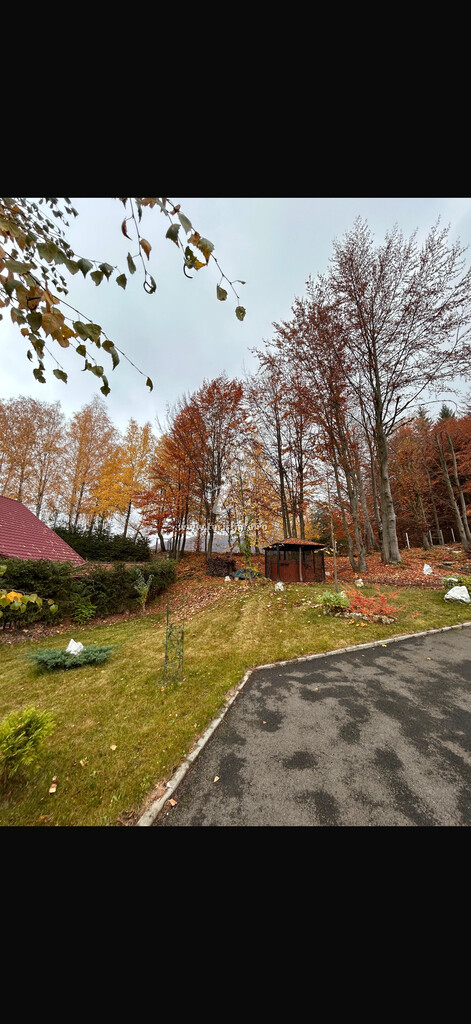 Cabana Lake Chalet Mogoșa