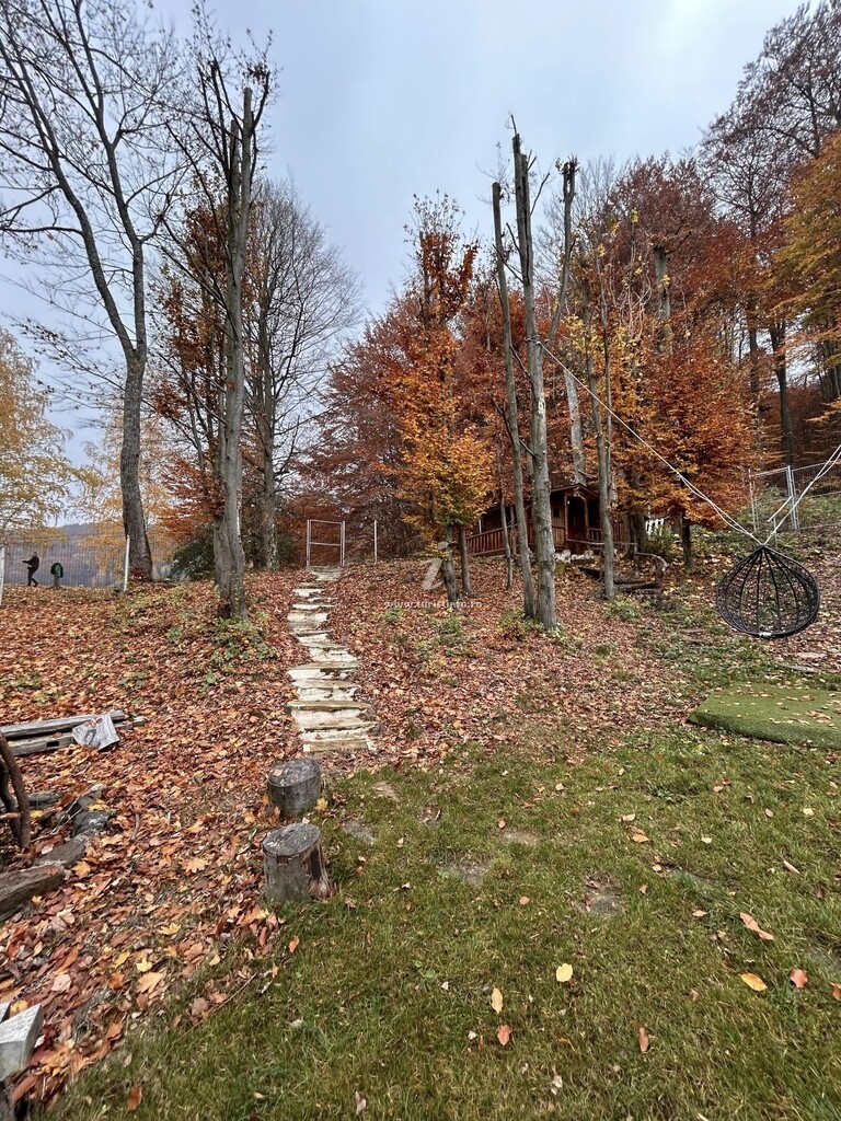 Cabana Lake Chalet Mogoșa