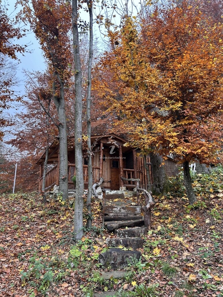 Cabana Lake Chalet Mogoșa
