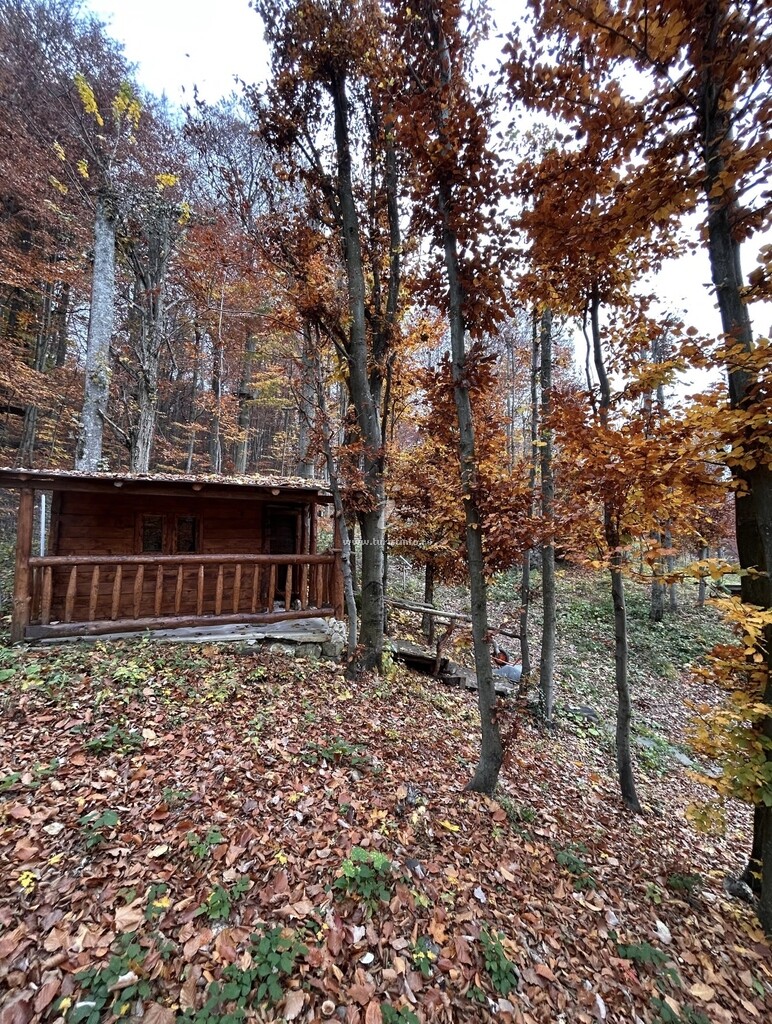 Cabana Lake Chalet Mogoșa