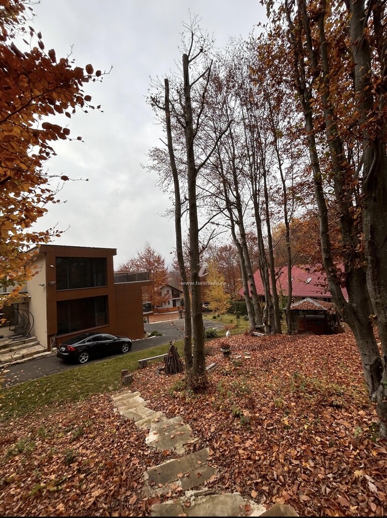 Cabana Lake Chalet Mogoșa