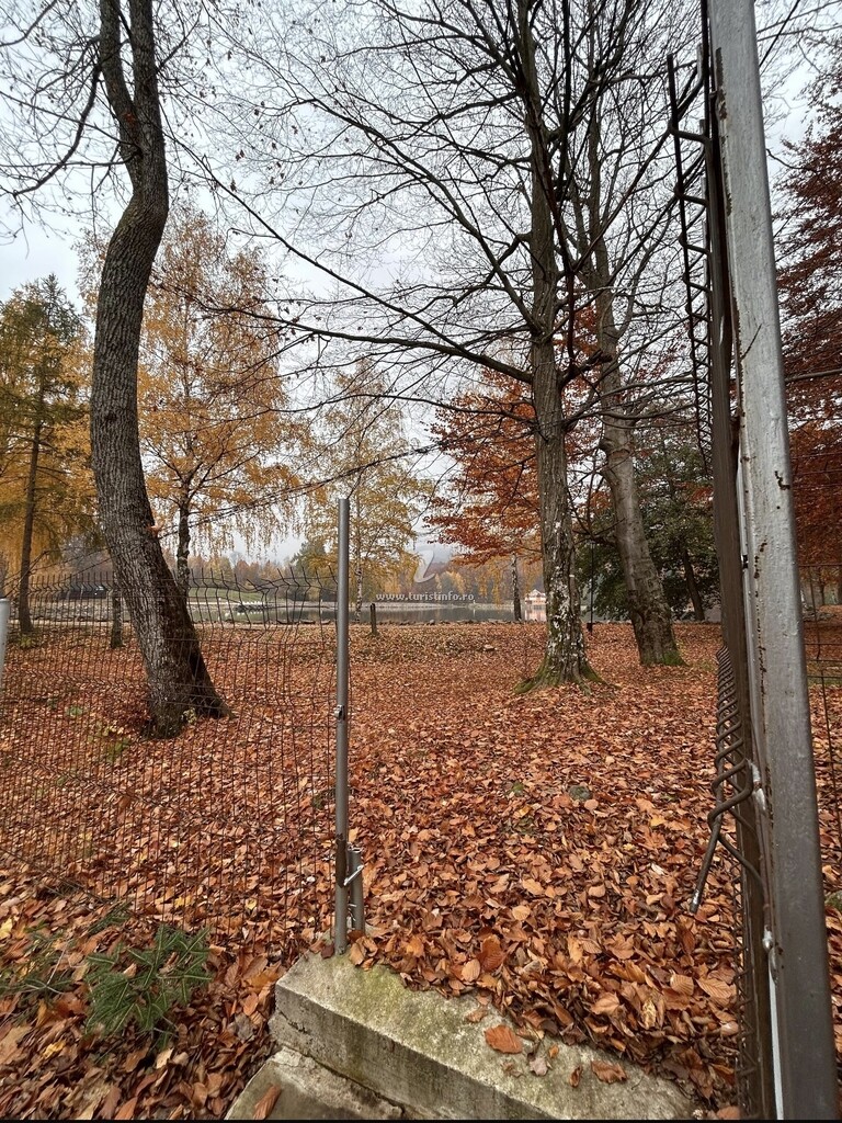 Cabana Lake Chalet Mogoșa