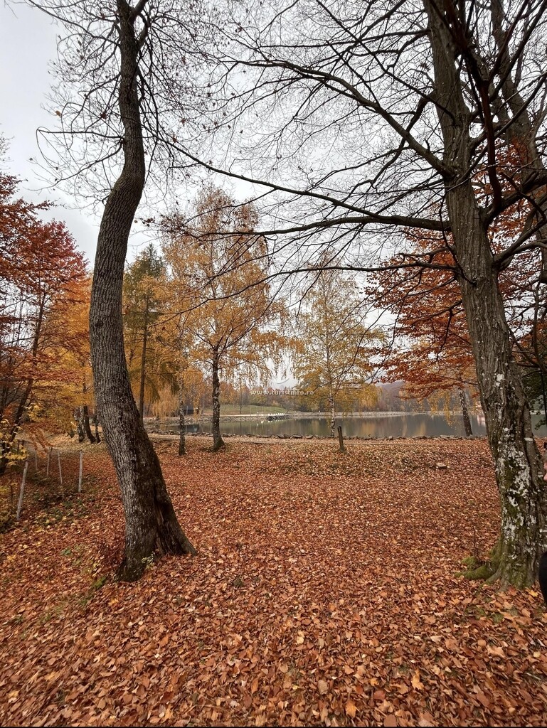 Cabana Lake Chalet Mogoșa
