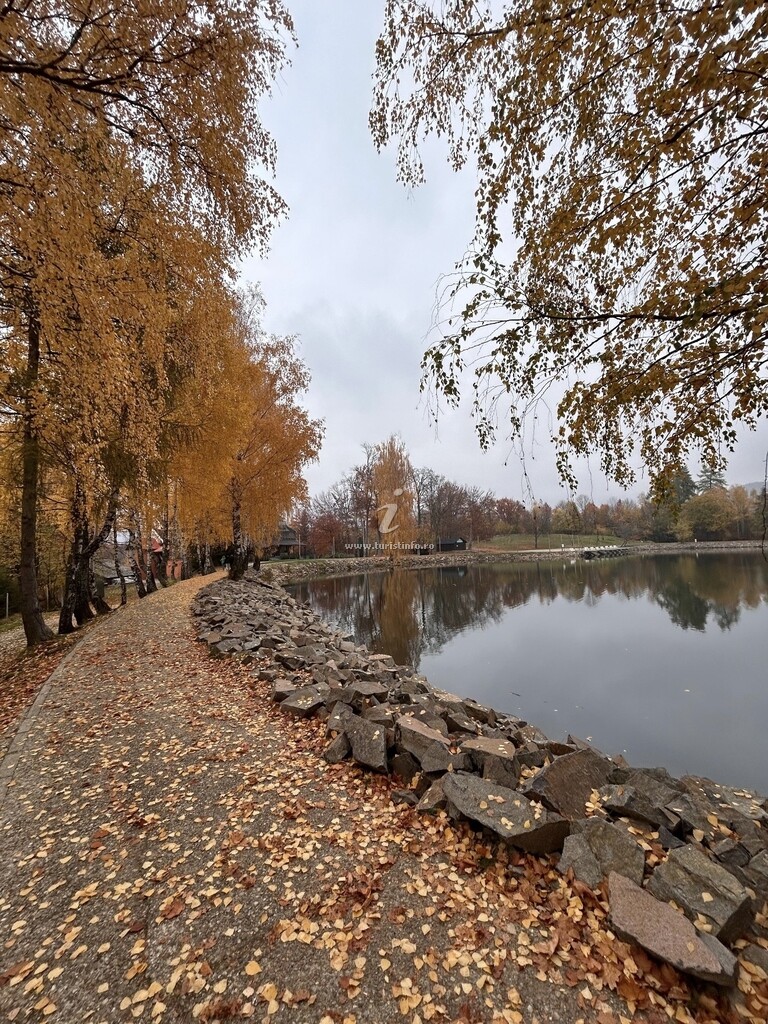 Cabana Lake Chalet Mogoșa